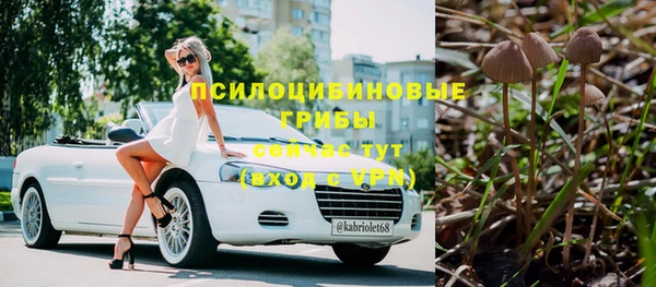 спайс Пересвет