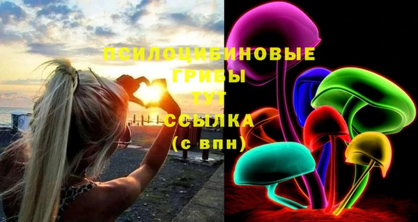 МДПВ Вязники