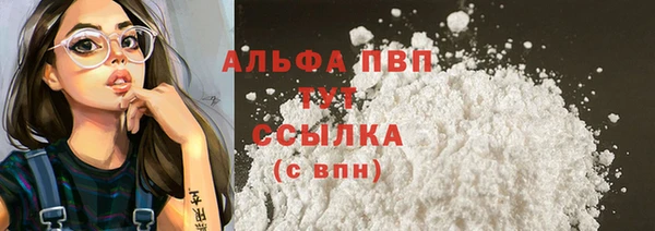 спайс Пересвет
