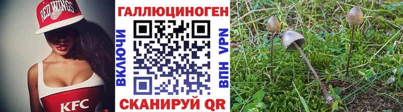 Галлюциногенные грибы MAGIC MUSHROOMS  Кувшиново 